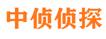 河西市调查取证